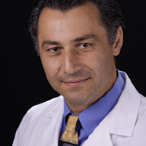 Dr. Sassan Falsafi headshot